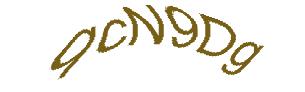 عبارت امنیتی