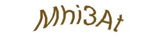 عبارت امنیتی