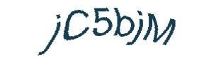 عبارت امنیتی