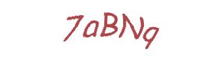 عبارت امنیتی