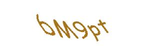 عبارت امنیتی