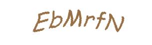 عبارت امنیتی