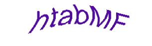 عبارت امنیتی