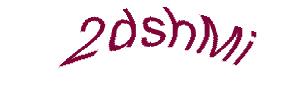 عبارت امنیتی