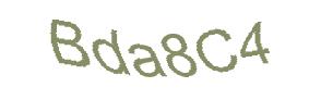 عبارت امنیتی