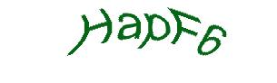 عبارت امنیتی