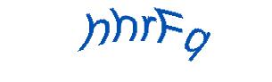 عبارت امنیتی