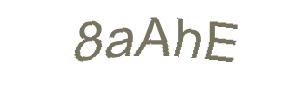 عبارت امنیتی