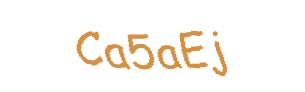 عبارت امنیتی