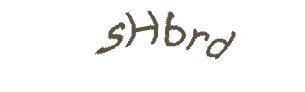عبارت امنیتی