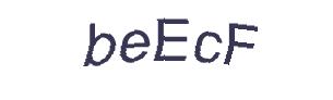 عبارت امنیتی