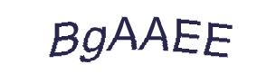 عبارت امنیتی