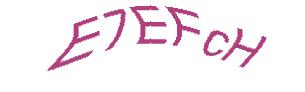 عبارت امنیتی