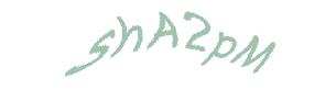 عبارت امنیتی