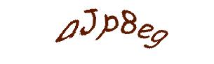 عبارت امنیتی