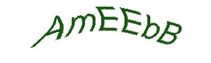 عبارت امنیتی