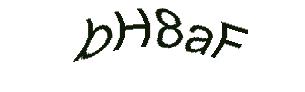 عبارت امنیتی