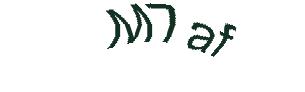 عبارت امنیتی