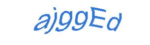 عبارت امنیتی