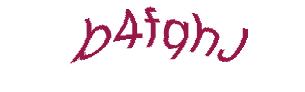 عبارت امنیتی
