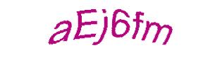 عبارت امنیتی