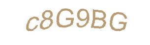 عبارت امنیتی