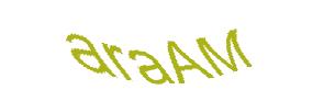 عبارت امنیتی
