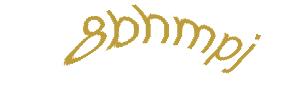 عبارت امنیتی