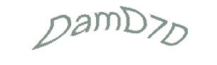 عبارت امنیتی