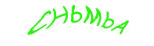عبارت امنیتی