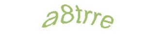 عبارت امنیتی
