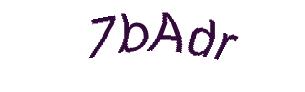 عبارت امنیتی