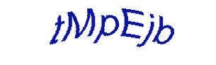عبارت امنیتی