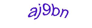 عبارت امنیتی