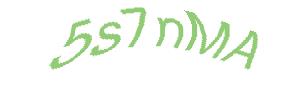 عبارت امنیتی