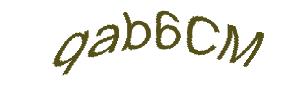 عبارت امنیتی