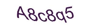 عبارت امنیتی