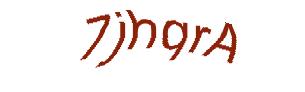عبارت امنیتی