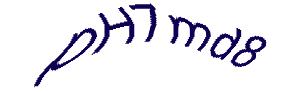 عبارت امنیتی