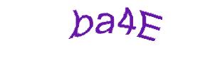 عبارت امنیتی