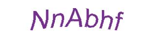 عبارت امنیتی