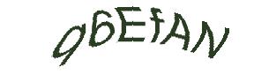 عبارت امنیتی