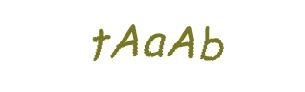 عبارت امنیتی