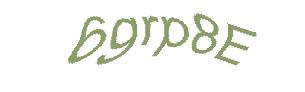 عبارت امنیتی