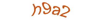 عبارت امنیتی