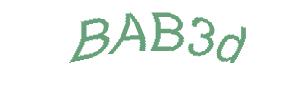 عبارت امنیتی