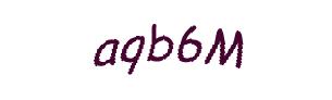 عبارت امنیتی