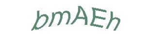 عبارت امنیتی