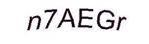 عبارت امنیتی