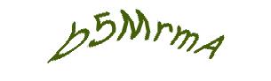 عبارت امنیتی